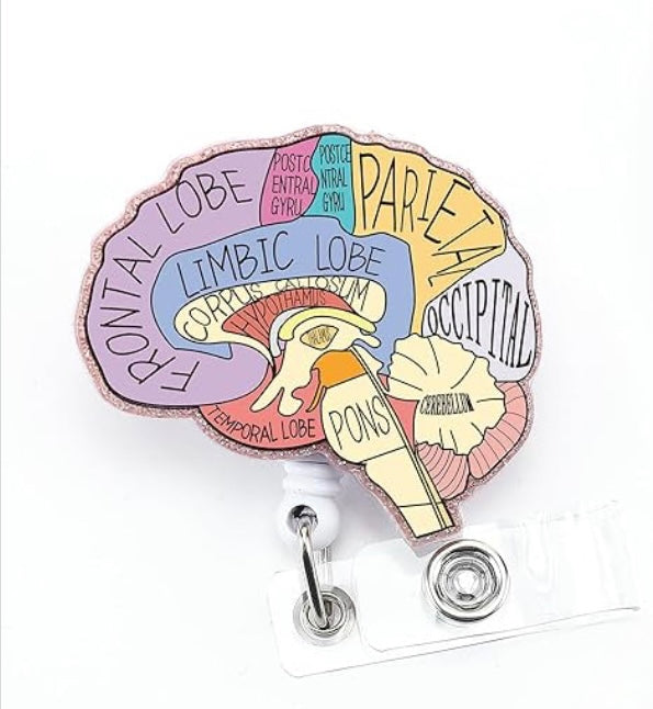 Brain Diagram Acrylic Badge Reel