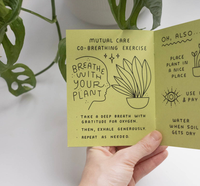 How to Keep A Plant Alive Zine