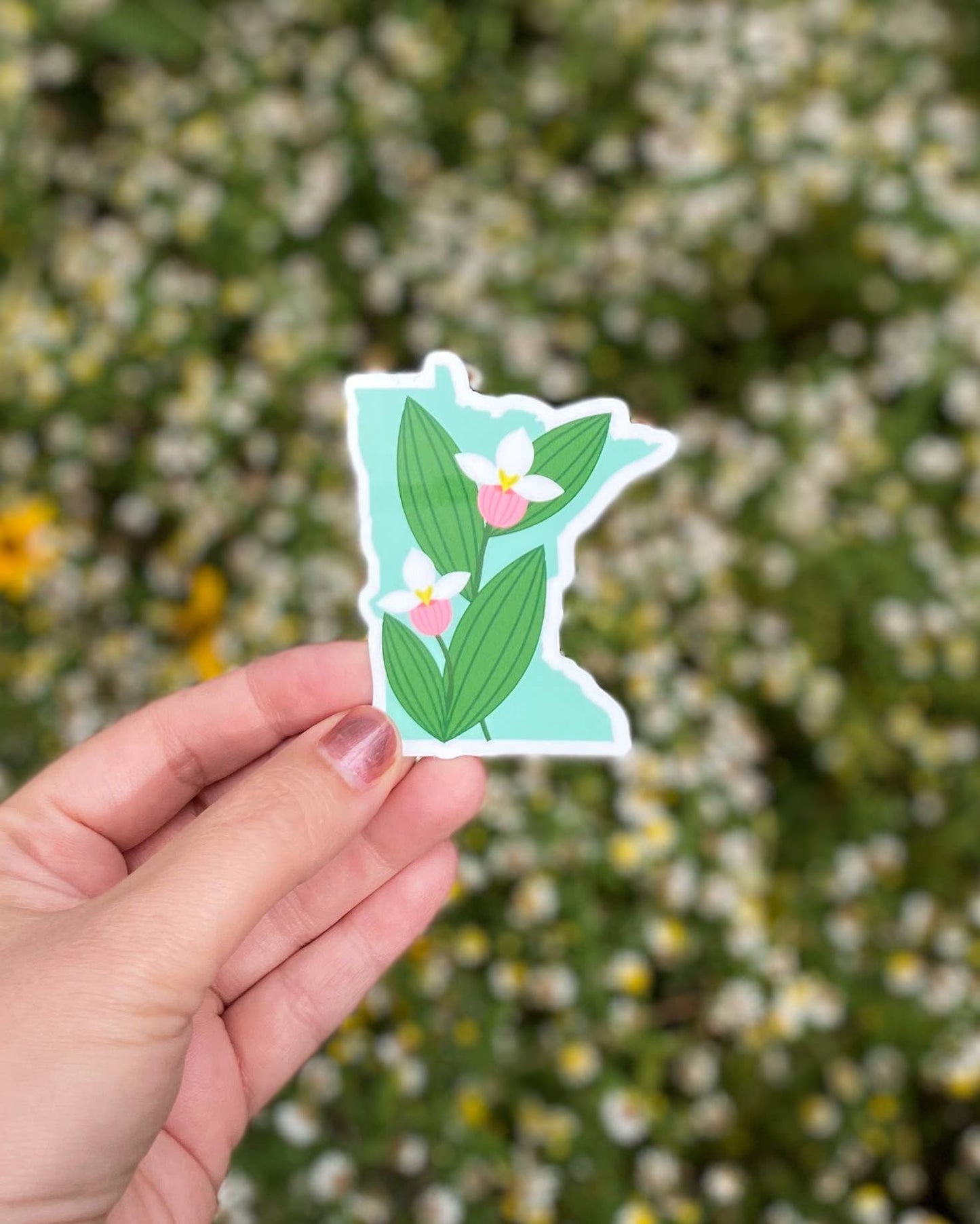 Minnesota Lady Slipper State Silhouette Vinyl Sticker
