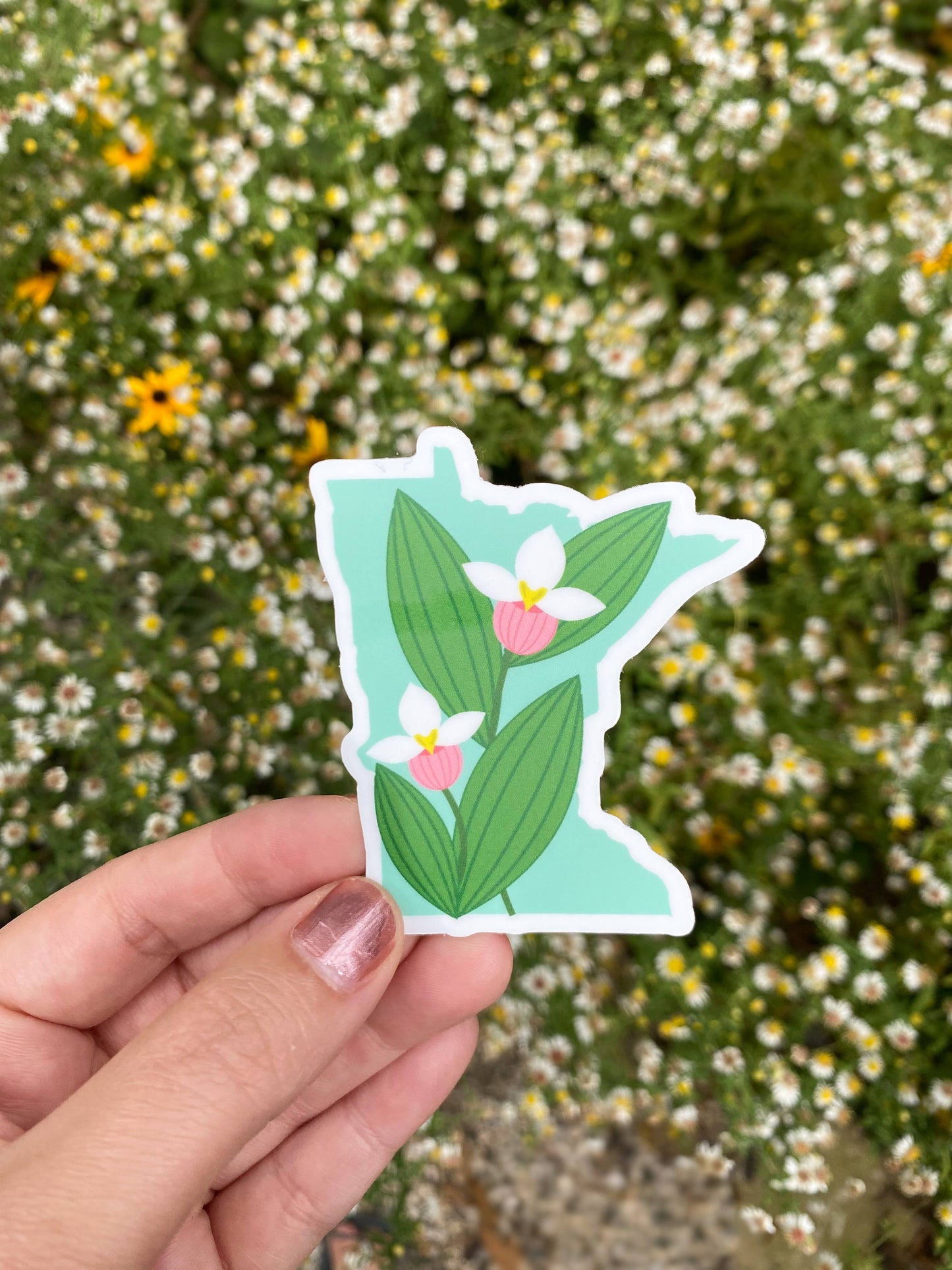 Minnesota Lady Slipper State Silhouette Vinyl Sticker