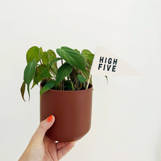 High Five Flag